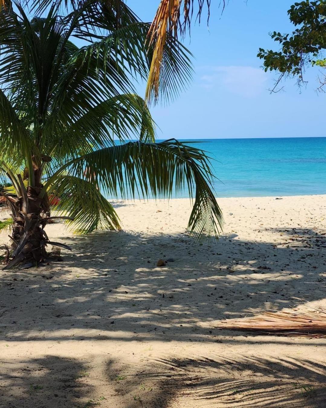 Aquatika Paraiso Tropical Loiza المظهر الخارجي الصورة