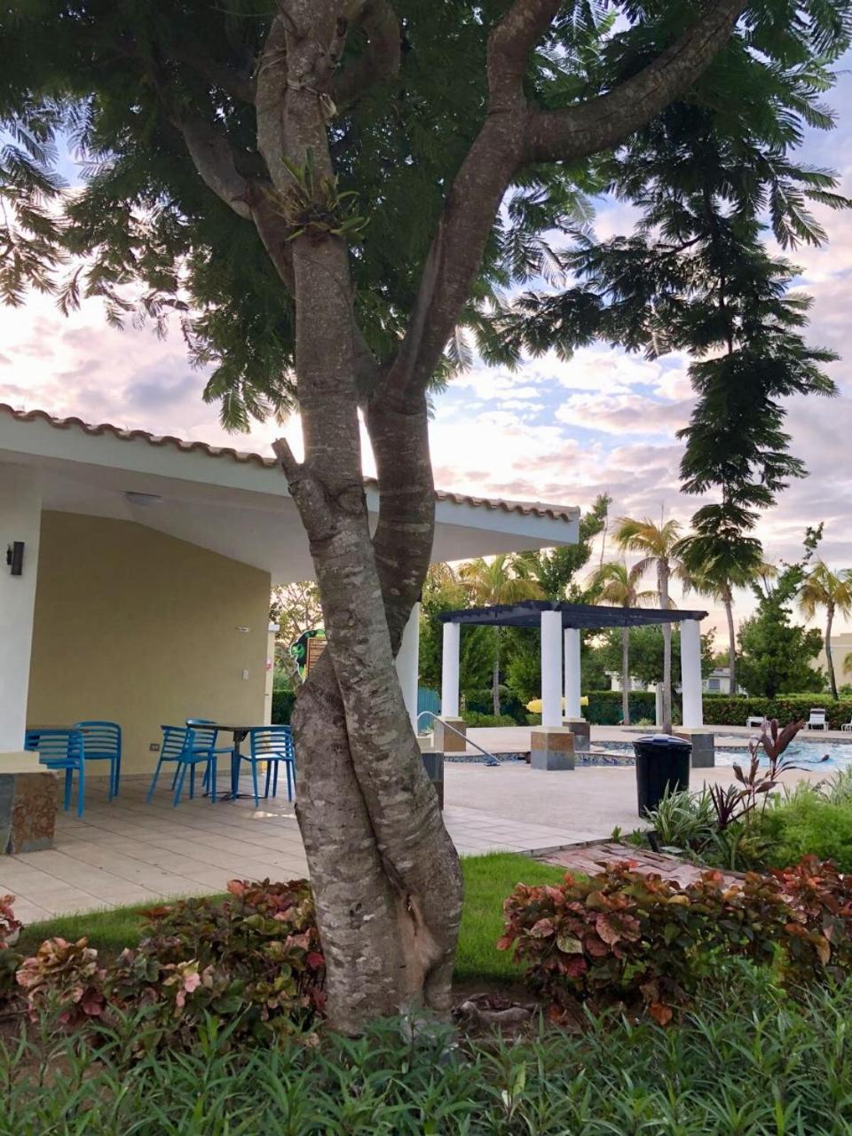 Aquatika Paraiso Tropical Loiza المظهر الخارجي الصورة