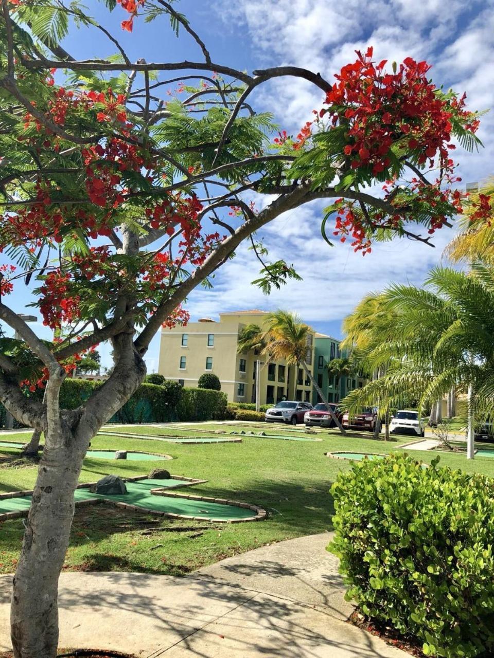 Aquatika Paraiso Tropical Loiza المظهر الخارجي الصورة